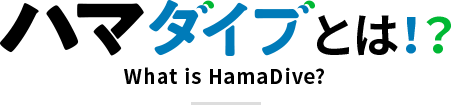 ハマダイブとは！？